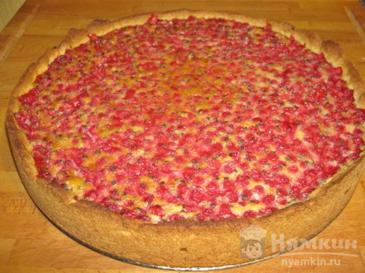 Песочный пирог с ванильным пудингом и красной смородины