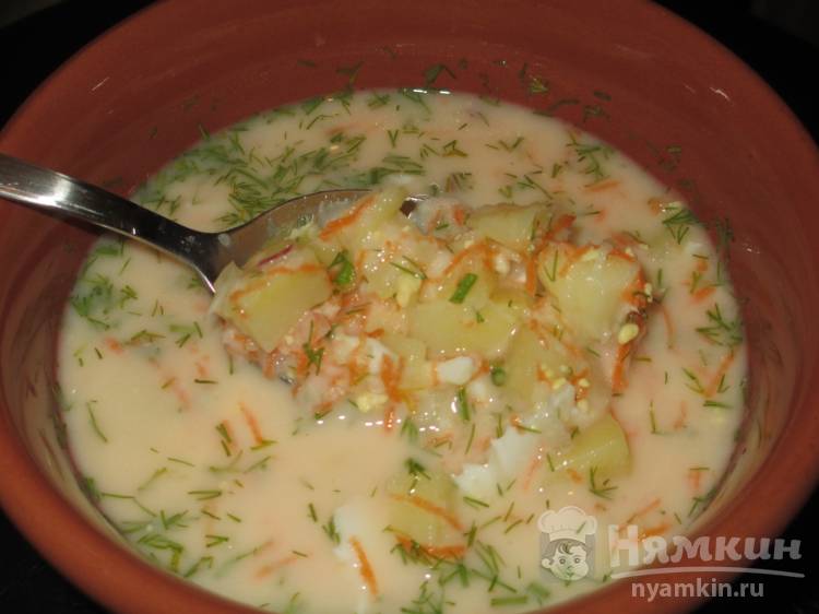 Оригинальный холодный суп с чёрной редькой на тане со сметаной 