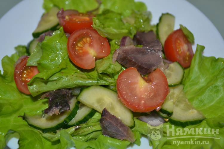 Салат с мясом и свежими овощами