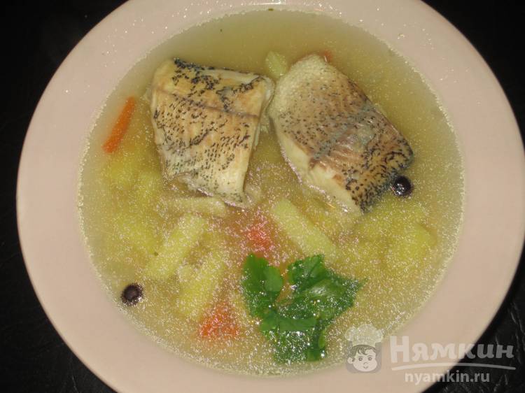 Суп рыбный из щуки без водки