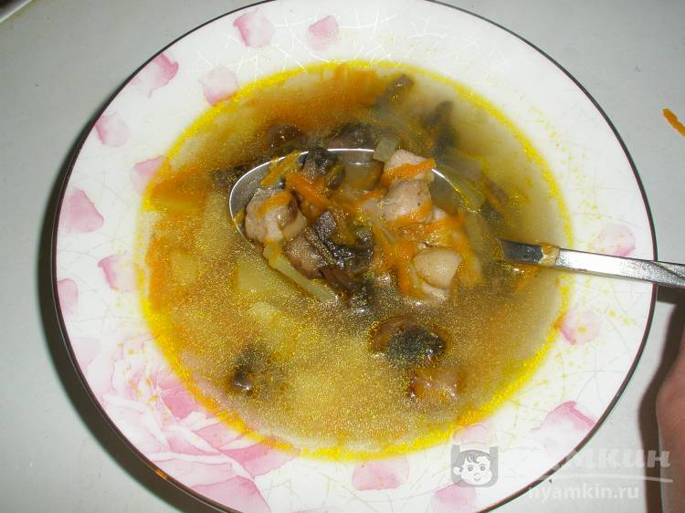 Вермишелевый суп со свининой и шампиньонами