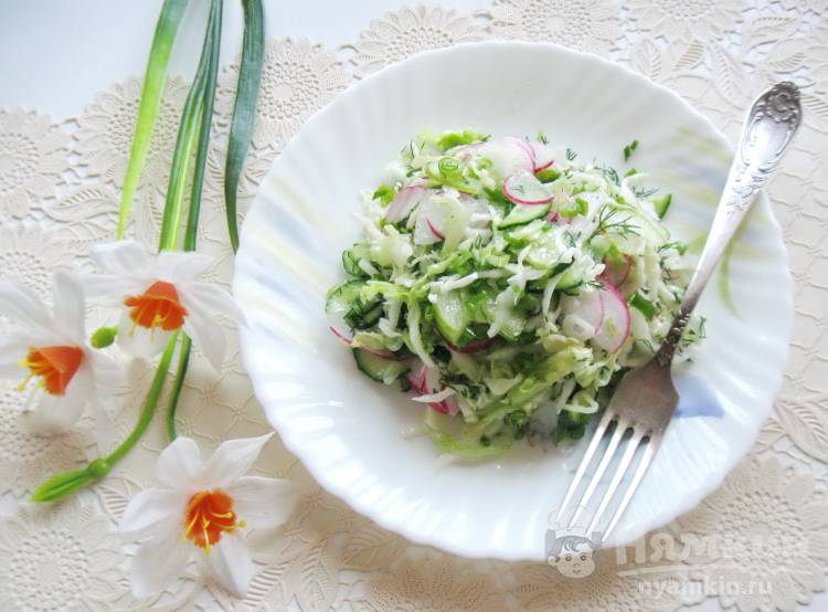 Салат с капустой, редисом и укропом