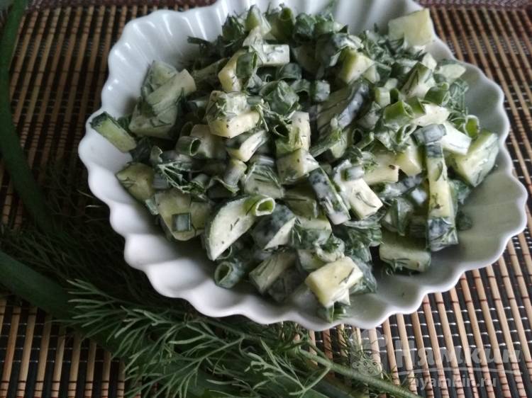Салат из огурцов с зеленым луком и укропом