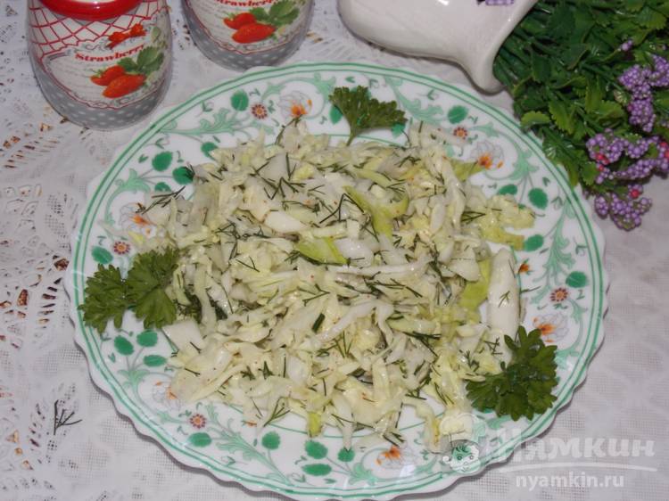 Легкий салат из капусты и свежего укропа