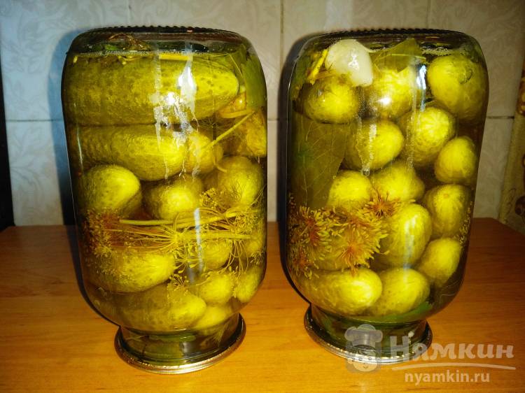 Маринованные огурцы с лимонной кислотой - Пошаговый рецепт с фото. Заготовки на зиму. Маринование