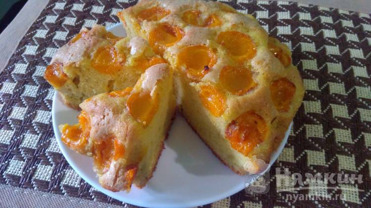 Бисквитный абрикосовый пирог