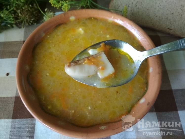 Грибной суп из боровиков с картошкой