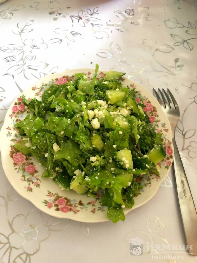 Сытный салат с творогом, огурцом, рукколой и листьями салата