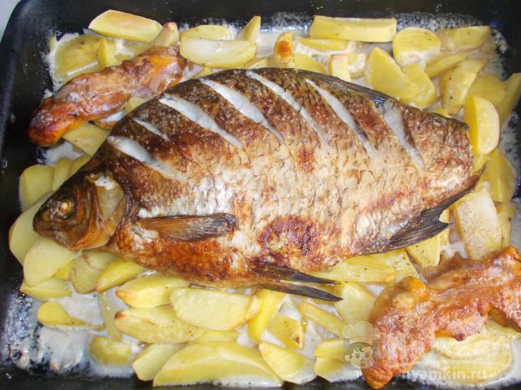 Рыба с картошкой запеченная в сливках в духовке рецепт пошаговый с фото .