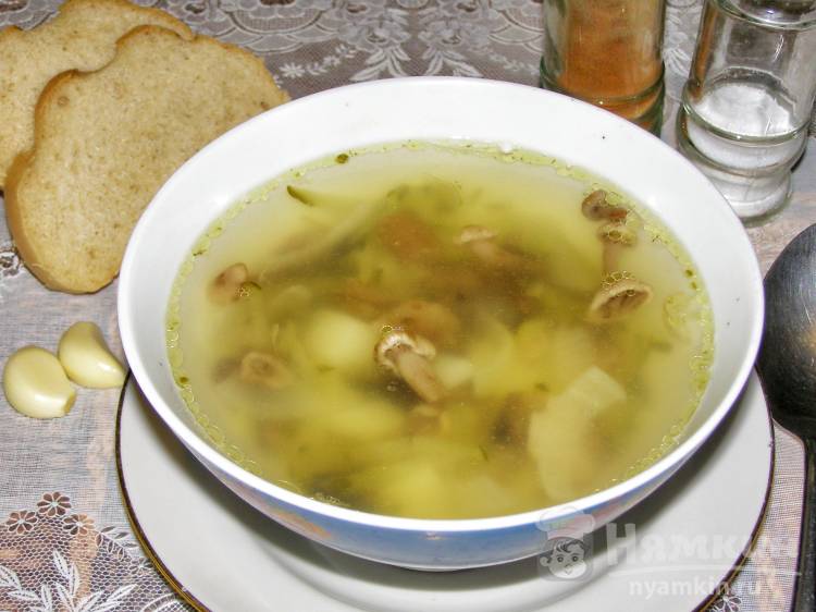 Крем-суп из маринованных огурцов. Рецепт с фото