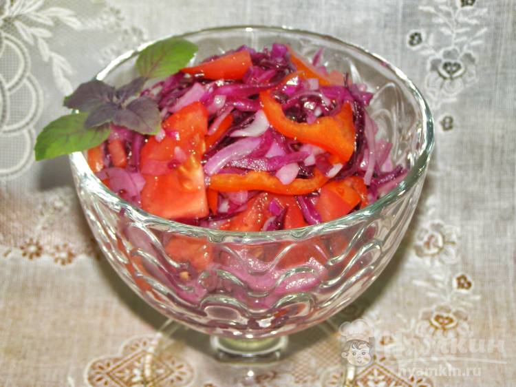 Красный салат из краснокочанной капусты
