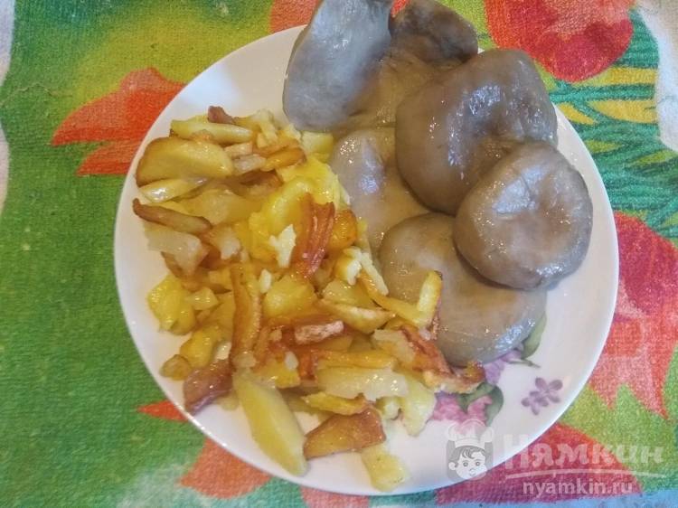 Жареное мясо с кислой капустой и картошкой