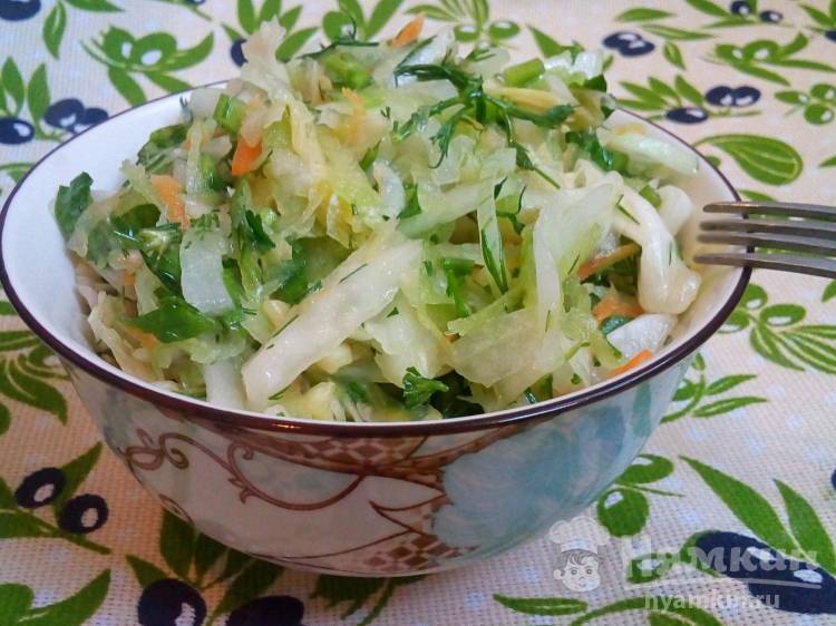 Легкий салат из квашеной капусты и редьки