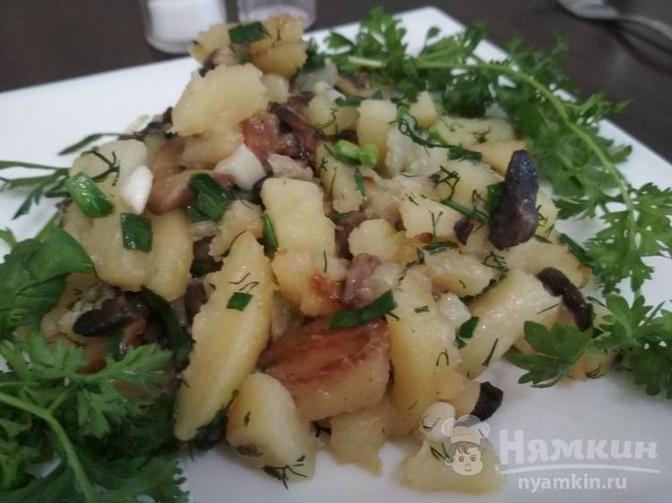 Жареный картофель с грибами и зеленью