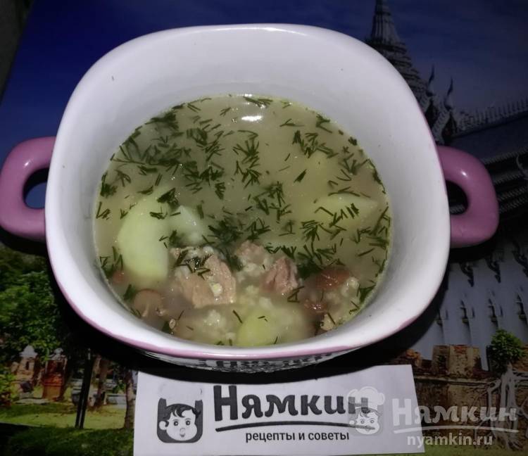 Суп с пшенкой и грибами на говяжьем бульоне без зажарки