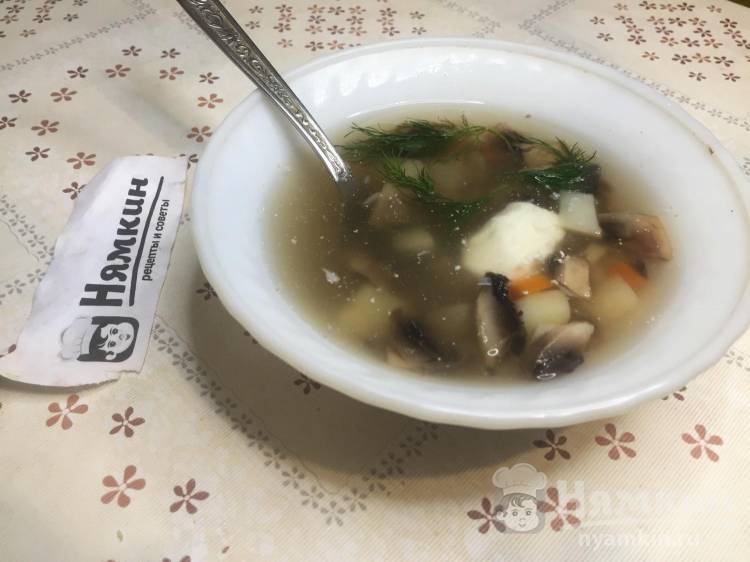 Грибной суп из свежих шампиньонов 