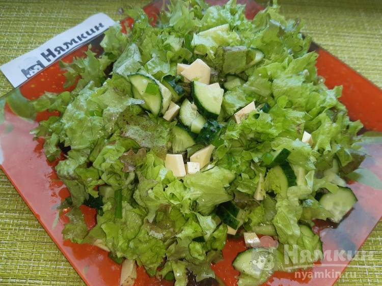 Зеленый салат с сыром, огурцом и маслом
