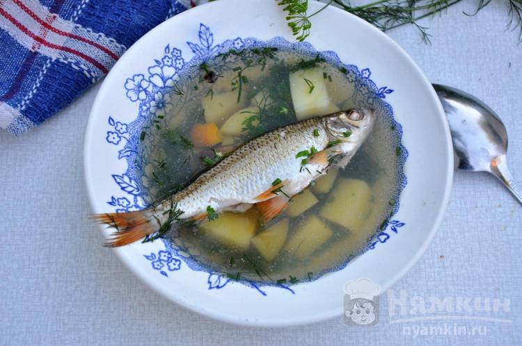 Рыба речная, запеченная в духовке с луком рецепт с фото пошагово - thebestterrier.ru