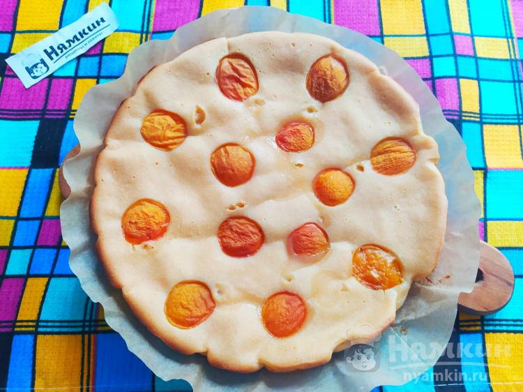 Пирог с абрикосами на ряженке в духовке