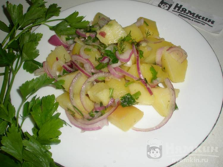 Картофельный салат с зеленью и красным луком