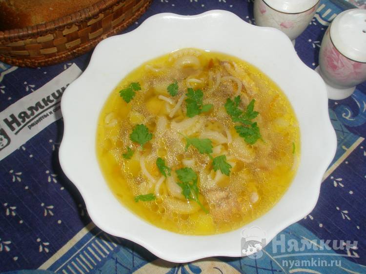 Куриный суп с макаронными изделиями-микс