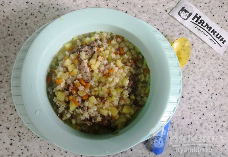 Соус из говядины с овощами и макаронами для детей