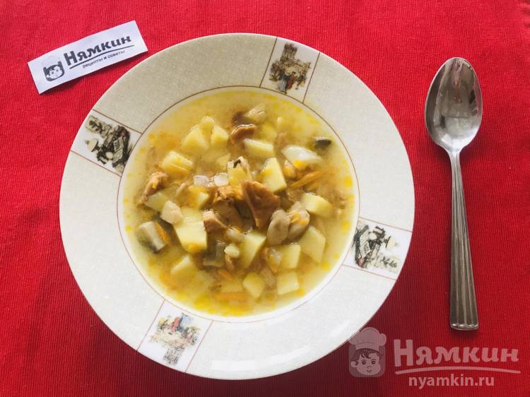 Грибной суп из свежих лисичек и шампиньонов с картошкой