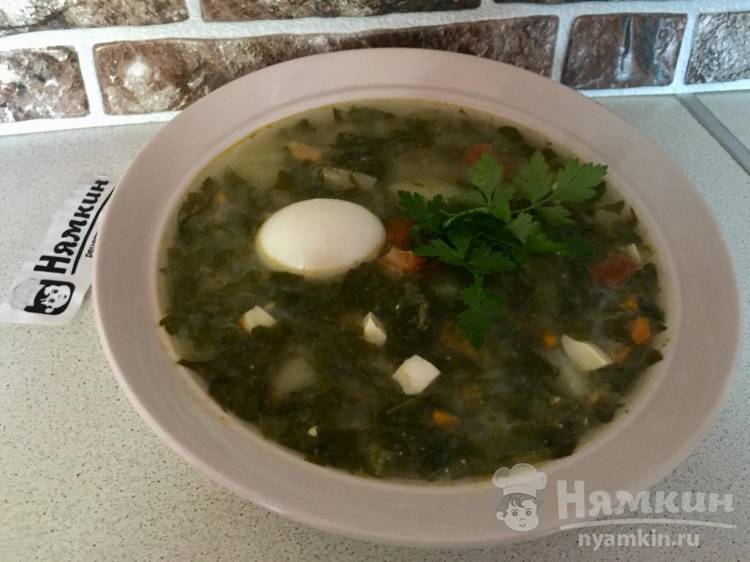 Диетический щавелевый суп с овощами и вареными яйцами
