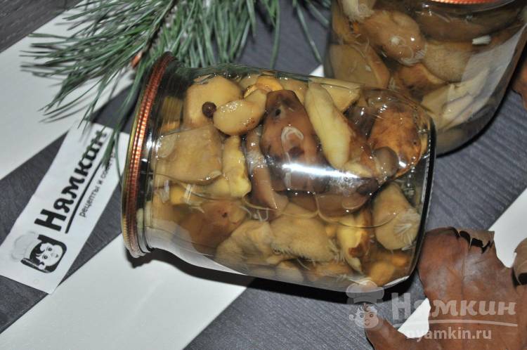 Маринованные польские грибы на зиму с уксусом в банках 