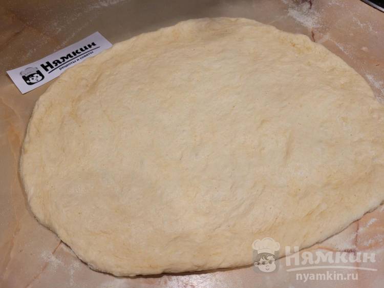 Пышное тесто для пиццы дрожжевое рецепт с фото пошагово