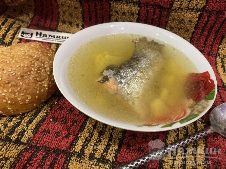 Вкусный рыбный суп из форели с картошкой