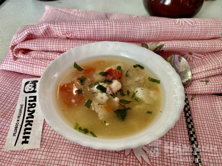 Легкий куриный суп с макаронами и красным болгарским перцем