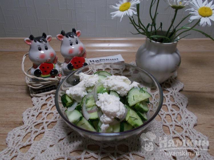 Салат из огурцов с рикоттой, луком и укропом