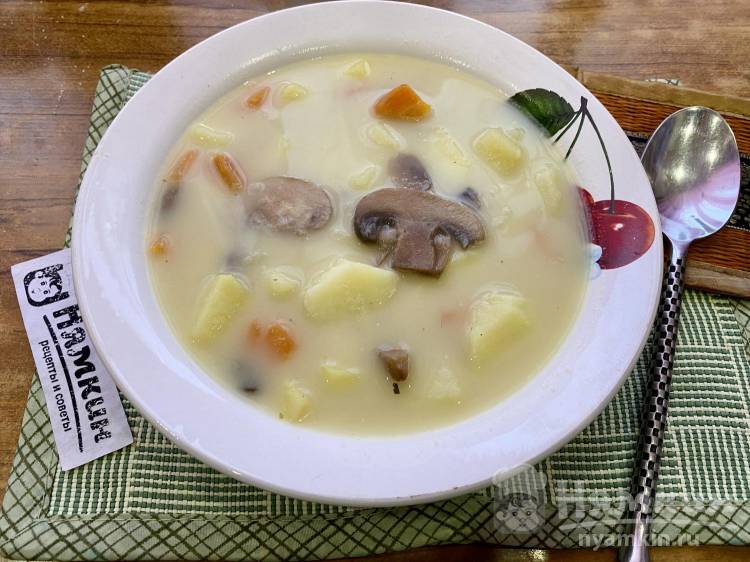 Грибной суп с шампиньонами и плавленым сливочным сыром