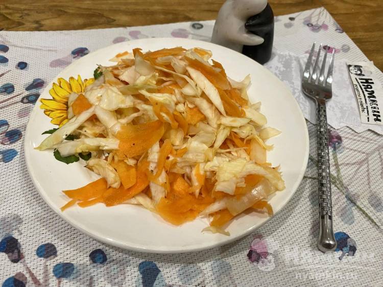 Витаминный салат из свежей капусты с морковью и репчатым луком