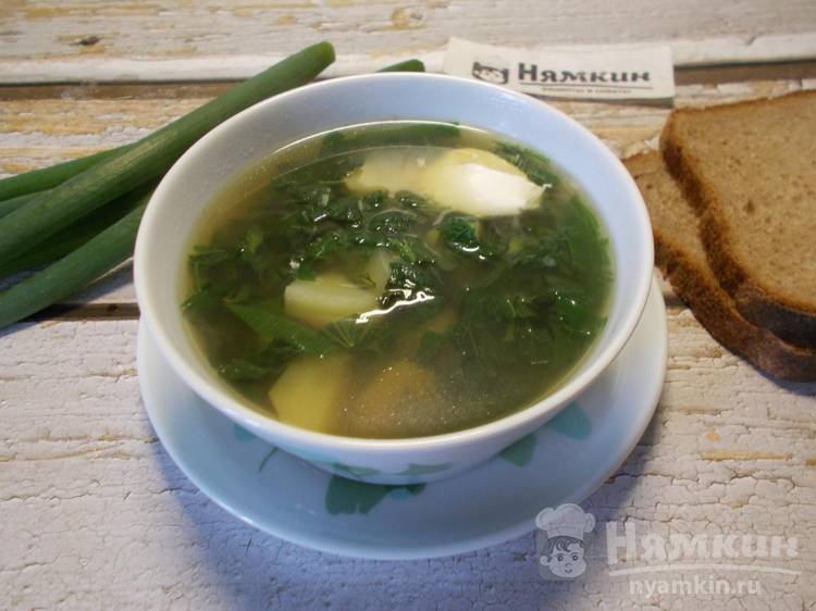 Быстрый суп на говяжьем бульоне с крапивой и зеленым луком